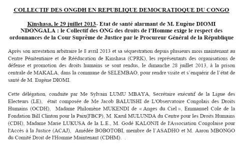 collectif des ong des droits de l homme 290713