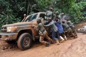 1476135_428067397316813_1156661086_n