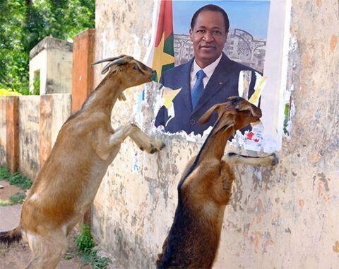 chevres sur compaore