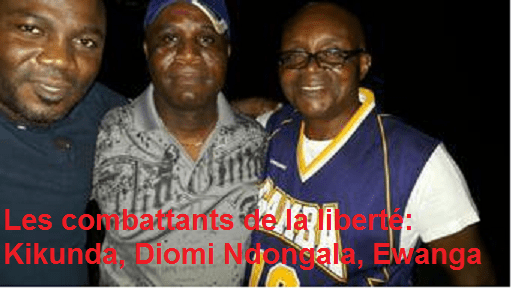 combattants de la libertes