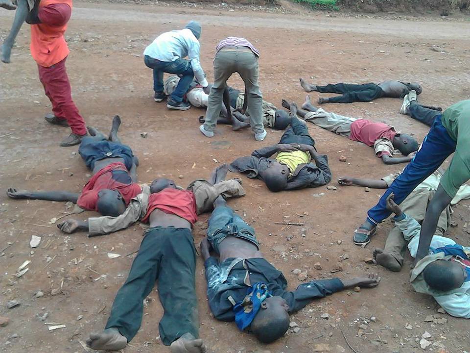 21462646_1312371702204734_4175365021834808772_n