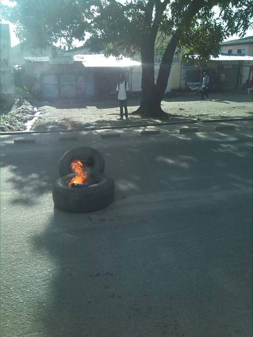 8f52db0f-dc81-409f-99f0-63bfd3741b7c