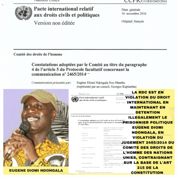 decision 2465-2014 du cdh-onu - liberez Diomi ndongala.png